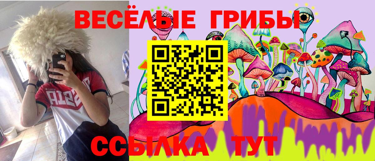 Галлюциногенные грибы Psilocybe  Вход с VPN  Торжок 